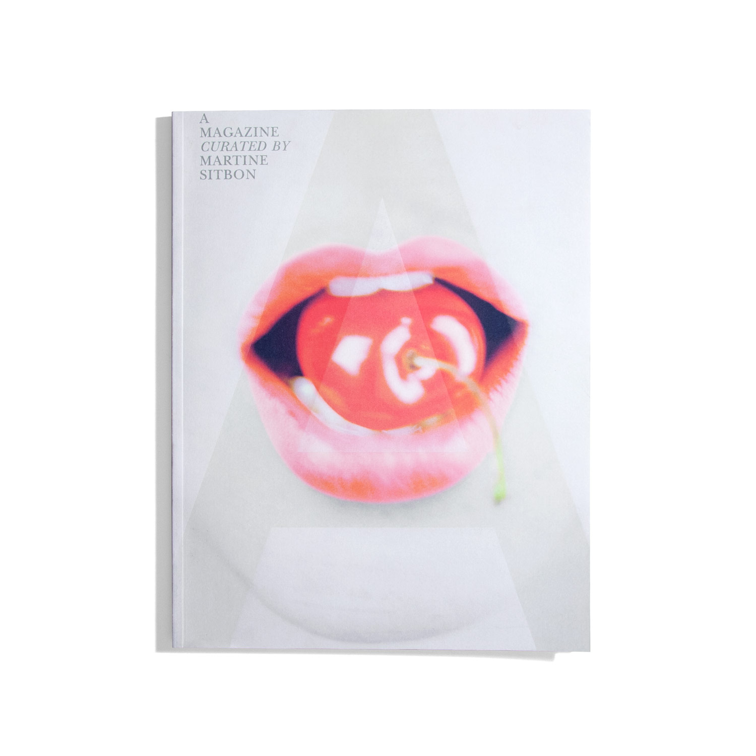 A Magazine curated by Martine Sitbon - #5 2007
